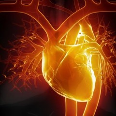 Brown Sugar (Common Light Remix)