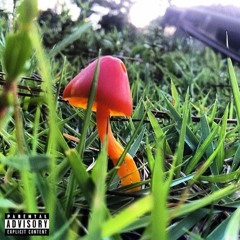 Motel Lovin' (ft. Ty Gully)