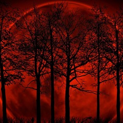 Bloody Moon (Prod. talinn)