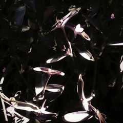 Geda DotEss - The Return Of Baron LaCroix