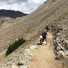 Hard Work:  14er Trail Maintenance In Colorado