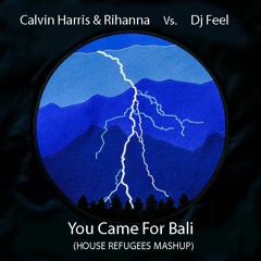 Calvin Harris & Rihanna Vs. Dj Feel - You Came For Bali (House Refugees MashUp)