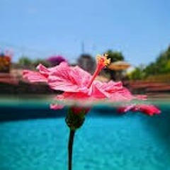 Bonriki International Airport T MAQUAK REMIX - Kiribati@tm...mp3