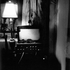 Forest Ray - Let It Go