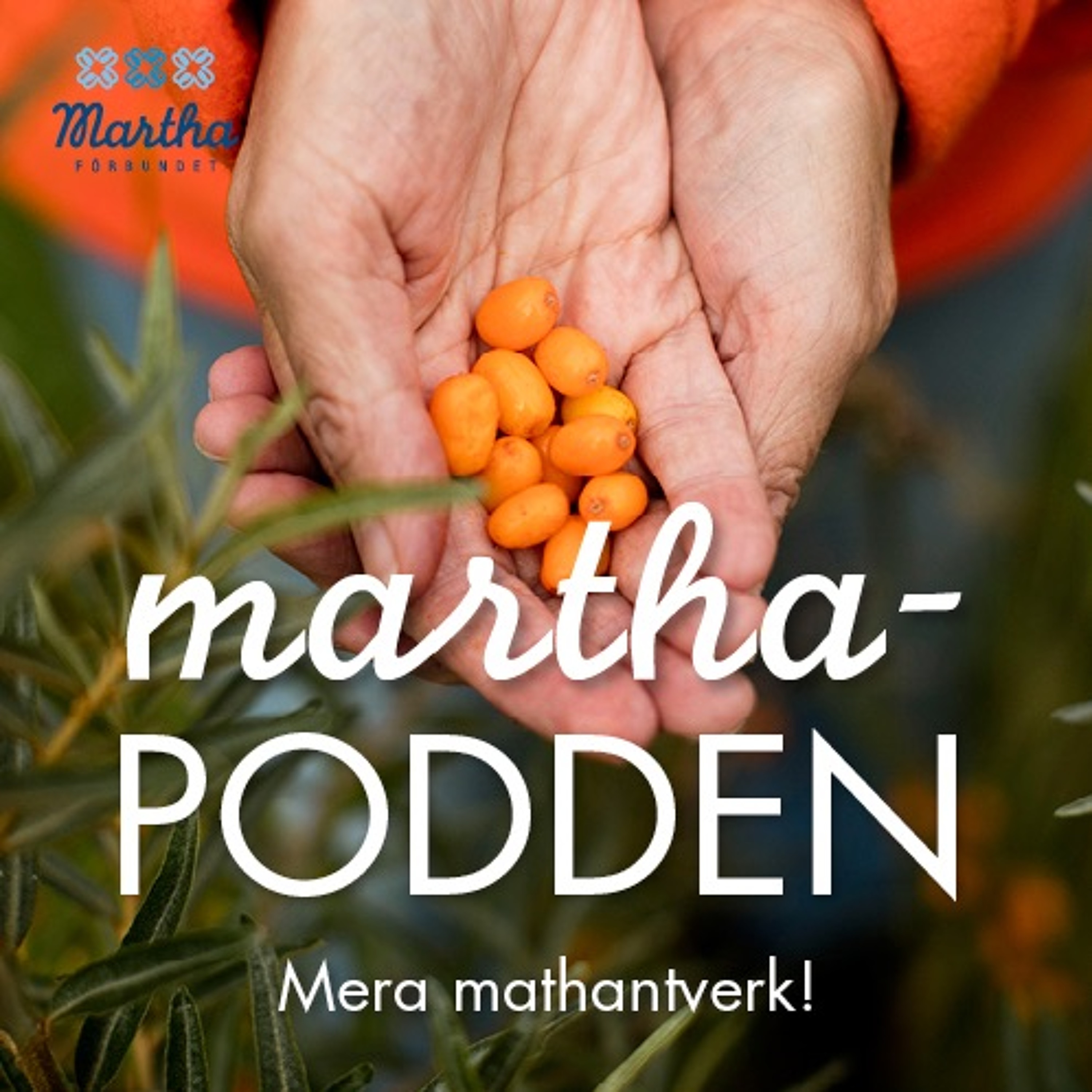 Marthaförbundet