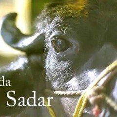 ERRA-ERRANI-SHAMULA-PATTE-[2K16-SADAR-SPCL-MIXD]-BY-DEEJ-NANI-SMILYE-CALL-NO-9908460992