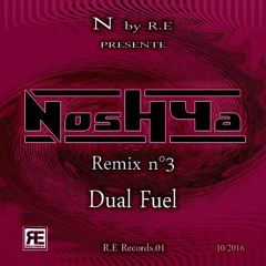 NoshYa (Dual Fuel Remix) - R.E Records.01