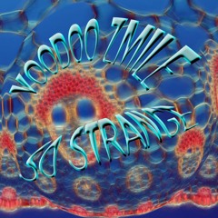 SO STRANGE