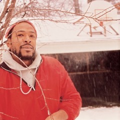 Marvin Gaye - Inner City Blues (Light Architecture Bootleg Remix)