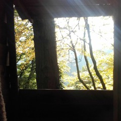 In The Light and In The Mess