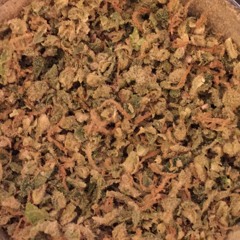 Asparagus