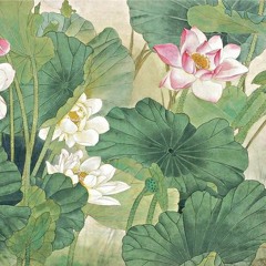 lotus (mujo x jinsang)