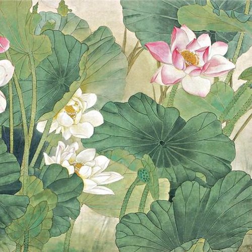 lotus (mujo x jinsang)