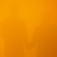 dialog in a fog