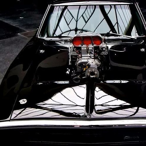 Vira Lata Sa  Feat Sabotagem