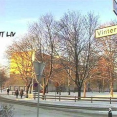 SDR - De Sånt Liv