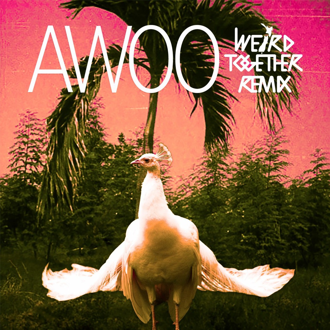 Stream Awoo (feat. Betta Lemme) [Weird Together Remix] by SOFI TUKKER ...