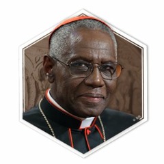 Homélie du Cardinal Sarah, lundi 31 octobre 2016 à la Basilique de Vézelay aux routiers FSE