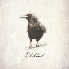 Playlist#2
