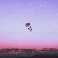 2 | 5. Blossom
