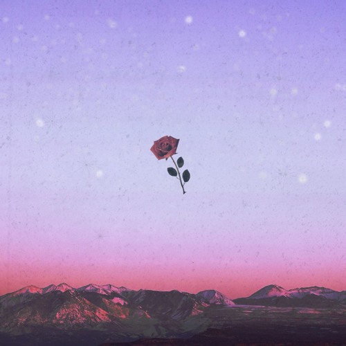 2 | 5. Blossom