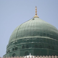 kidragon - gentle disposition