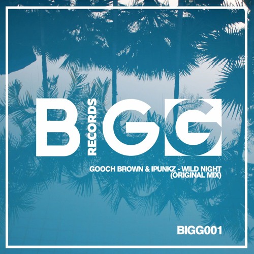 Gooch Brown & iPunkz - Wild Night (Original Mix)