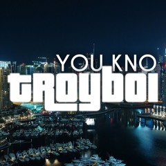 TroyBoi - You Kno