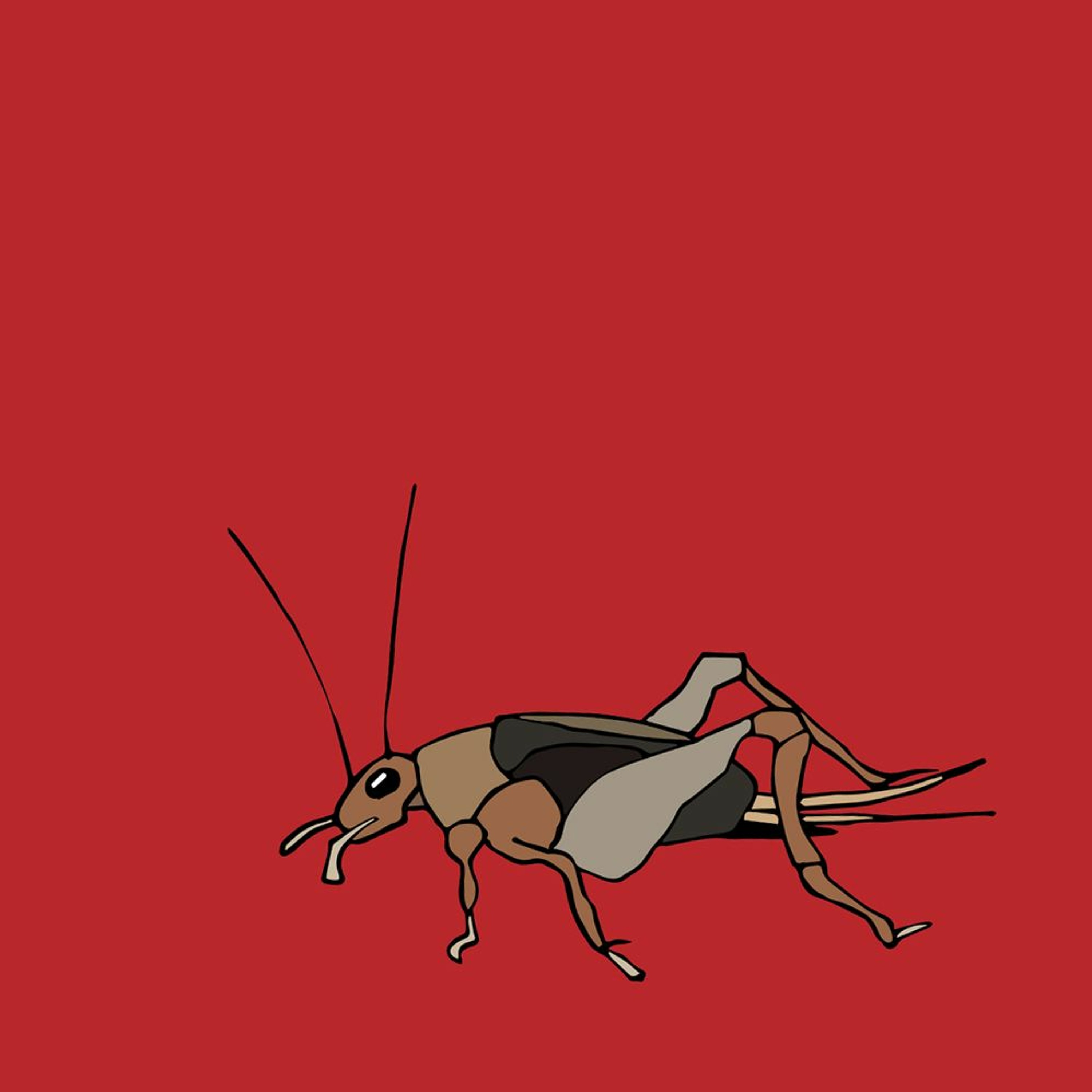 #9 Bug Bites, Part II episode artwork