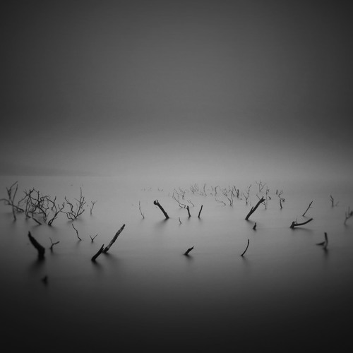 AFTERLIFE