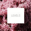 Levels Mp3