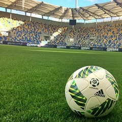 Z Lechii Gdańsk na Stadion Miejski w Gdyni: Greenkeeper Arki opowiada o swojej pracy
