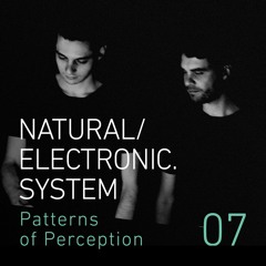 Patterns of Perception 07 - natural/electronic.system.