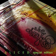 supporting bands and artists 6