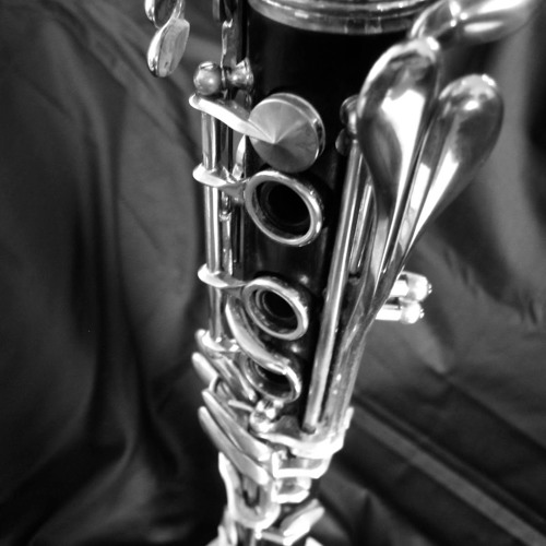 غسان أبو حلتم - راحت يا خال