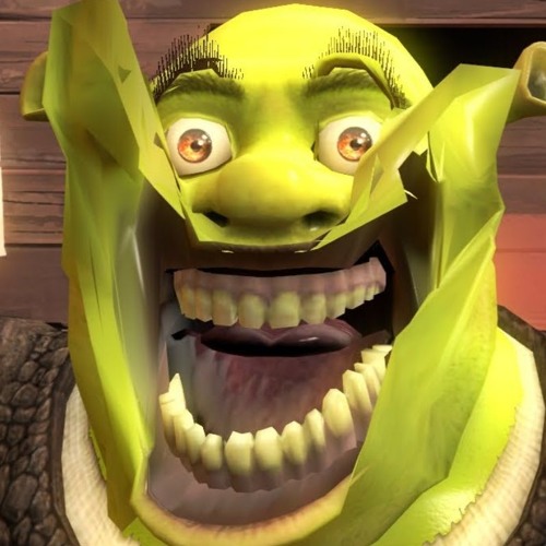 Shrek Meme 