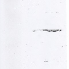 Linear Movement Podcasts