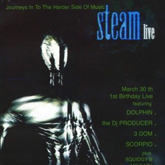 DOLPHIN--STEAM - 1ST BIRTHDAY 30.03.1996