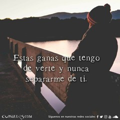 Todo se daño. Los buitres de culiacan