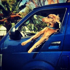 Cruisin With Sheronda