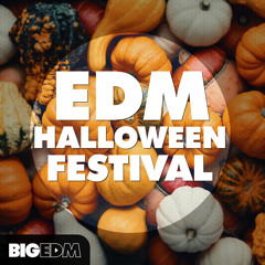 EDM Halloween Festival [8 Thrilling Kits, 100 Melodies, Drums & Presets] OUT NOW on Beatport!