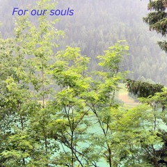 For Our Souls
