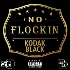 no flockin remix-flipp via the Rapchat app (prod. by Kodak Black)