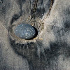 Poetry: Canoes on the Bay