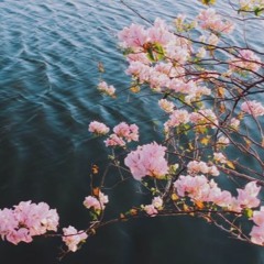 steve lacy (c-u girll)