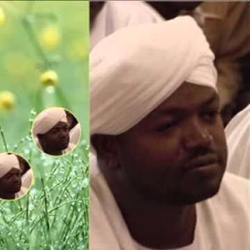 شيخ نورين