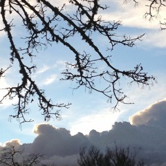 August Blues (Prod. by DJ Thabizel)