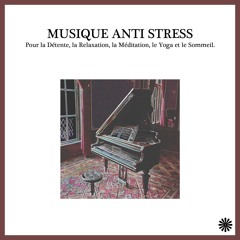 Zen Nature - Chansons d'amour ()