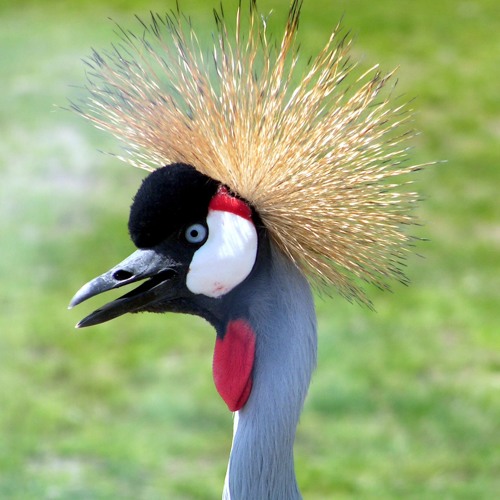 Something Strange feat. Mayfield