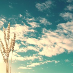 Kuba Te - Louder #ElectroHouse